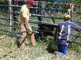 Click to see dscn0013.jpg