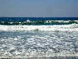 Click to see DSCN7181.JPG