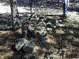 Click to see DSCN7968.JPG