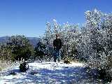 Click to see DSCN3828.JPG