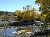 Click to see DSCN1052.JPG