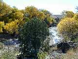 Click to see DSCN1058.JPG