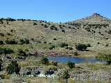 Click to see DSCN1059.JPG