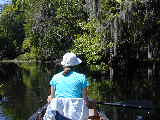 Click to see DSCN7875.JPG