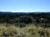 Click to see DSCN0015.JPG