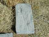 Click to see DSCN0021.JPG