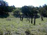 Click to see DSCN4684.JPG