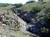 Click to see DSCN4690.JPG