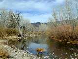 Click to see DSCN1237.JPG