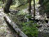 Click to see dscn3380.jpg