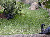 Click to see Dscn6573.jpg