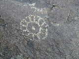 Click to see Dscn6351.jpg