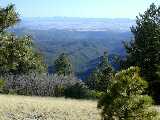 Click to see dscn0049.jpg