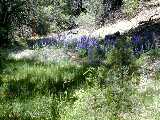 Click to see DSCN2843.JPG