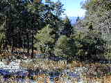 Click to see DSCN2477.JPG