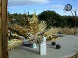 Click to see DSCN3744.JPG