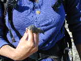 Click to see DSCN8002.JPG