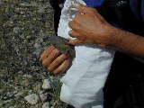 Click to see DSCN8003.JPG
