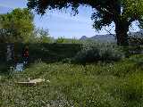 Click to see DSCN8007.JPG