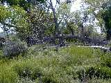 Click to see DSCN8008.JPG