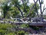 Click to see DSCN8009.JPG