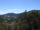 Click to see Dscn0603.jpg