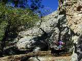 Click to see Dscn0608.jpg