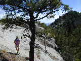 Click to see Dscn0609.jpg