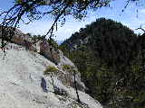 Click to see Dscn0610.jpg