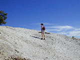 Click to see Dscn0611.jpg