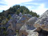 Click to see Dscn0627.jpg