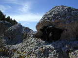 Click to see Dscn0632.jpg