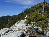 Click to see Dscn0639.jpg