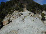 Click to see Dscn0642.jpg