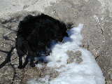 Click to see Dscn0643.jpg