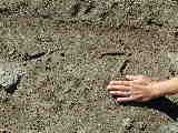 Click to see Dscn0650.jpg