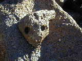 Click to see Dscn0652.jpg