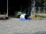 Click to see Dscn3967.jpg