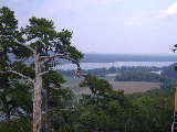 Click to see Dscn3974.jpg