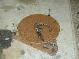 Click to see Dscn3986.jpg