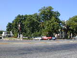Click to see Dscn4002.jpg