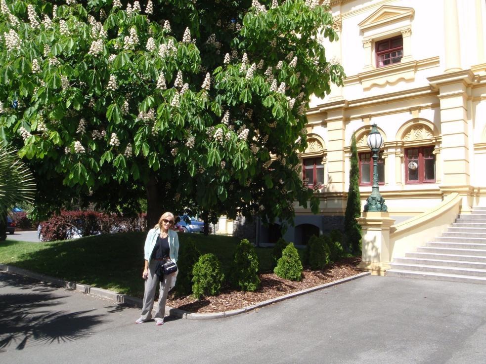 P1010104-2.jpg
