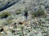 Click to see Dscn2785.jpg