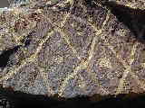 Click to see Dscn2789.jpg