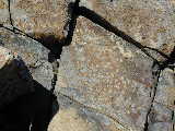 Click to see Dscn2791.jpg