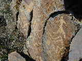 Click to see Dscn2792.jpg