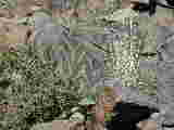 Click to see Dscn2801.jpg