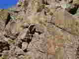 Click to see Dscn2803.jpg