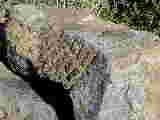 Click to see Dscn2807.jpg
