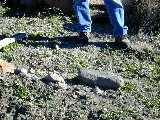 Click to see Dscn2811.jpg